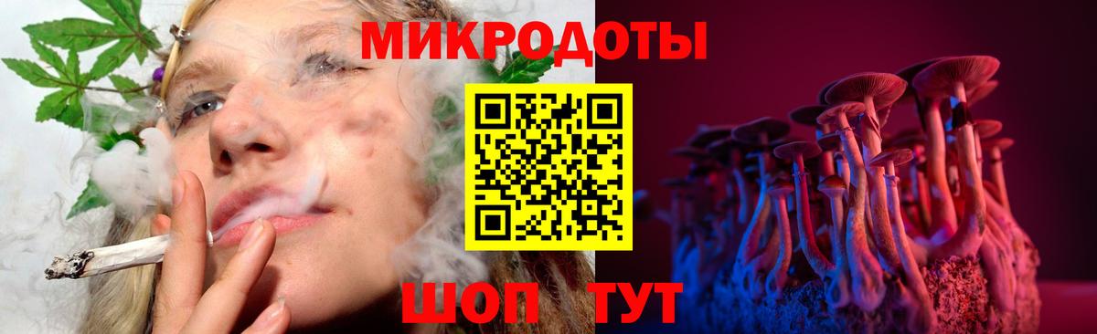 Хасавюрт  Псилоцибиновые грибы Psilocybine cubensis  Вход с VPN 